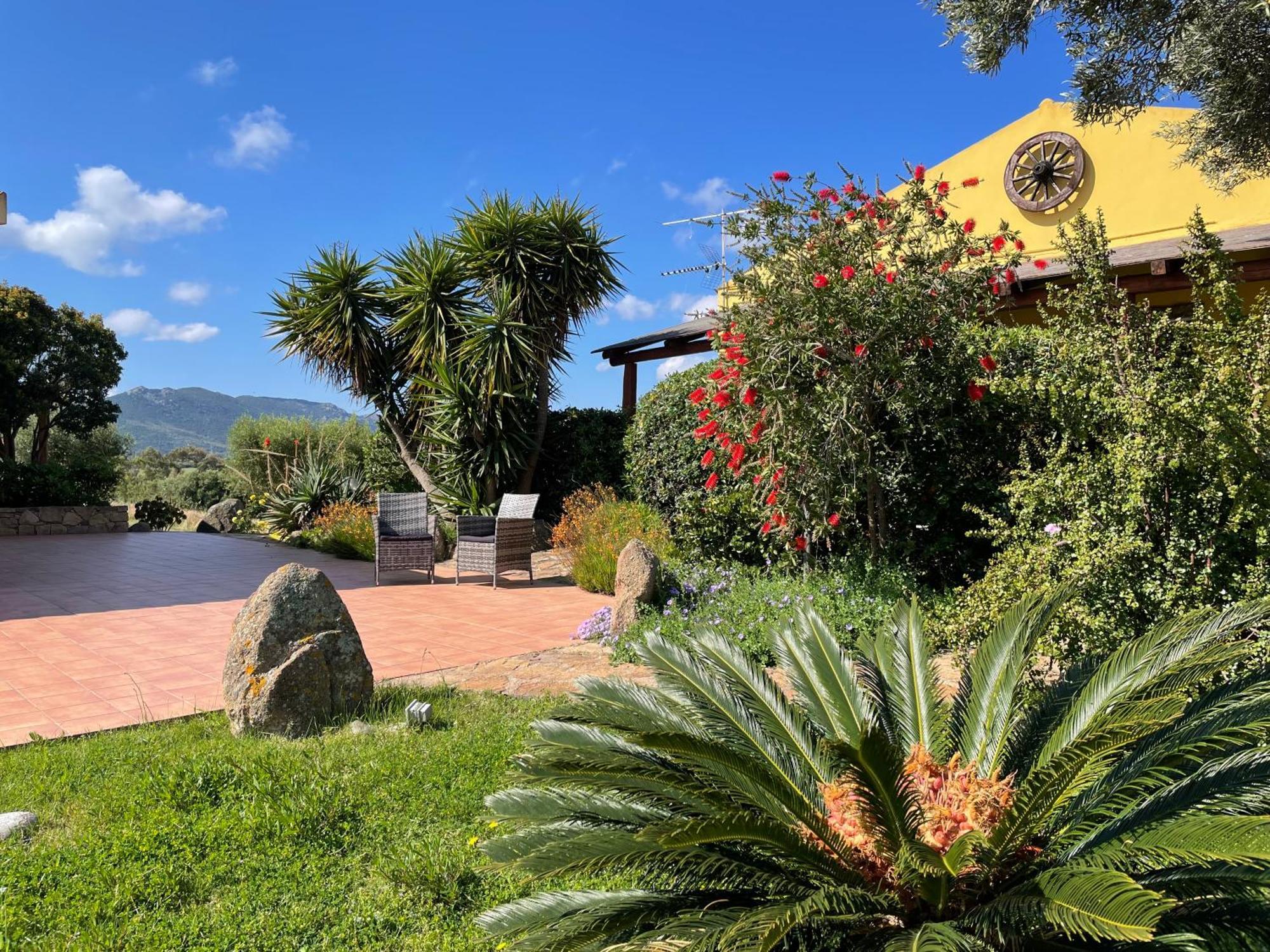 Agriturismo Campesi Casale Tra Le Vigne Aglientu Exterior photo