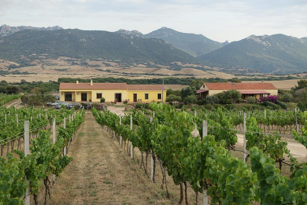 Agriturismo Campesi Casale Tra Le Vigne Aglientu Exterior photo