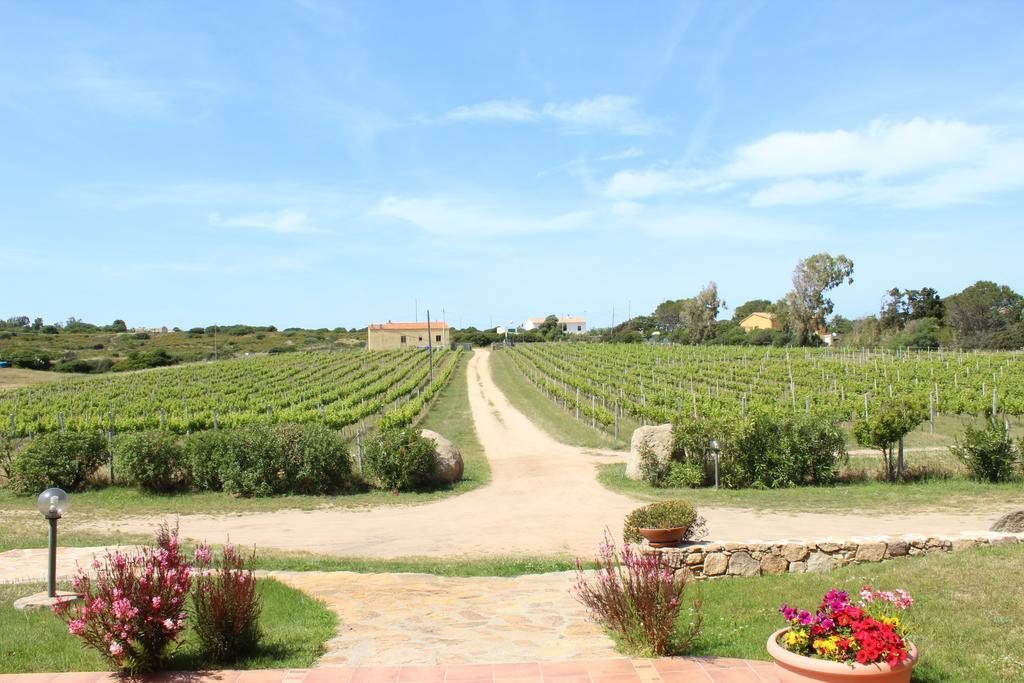 Agriturismo Campesi Casale Tra Le Vigne Aglientu Exterior photo