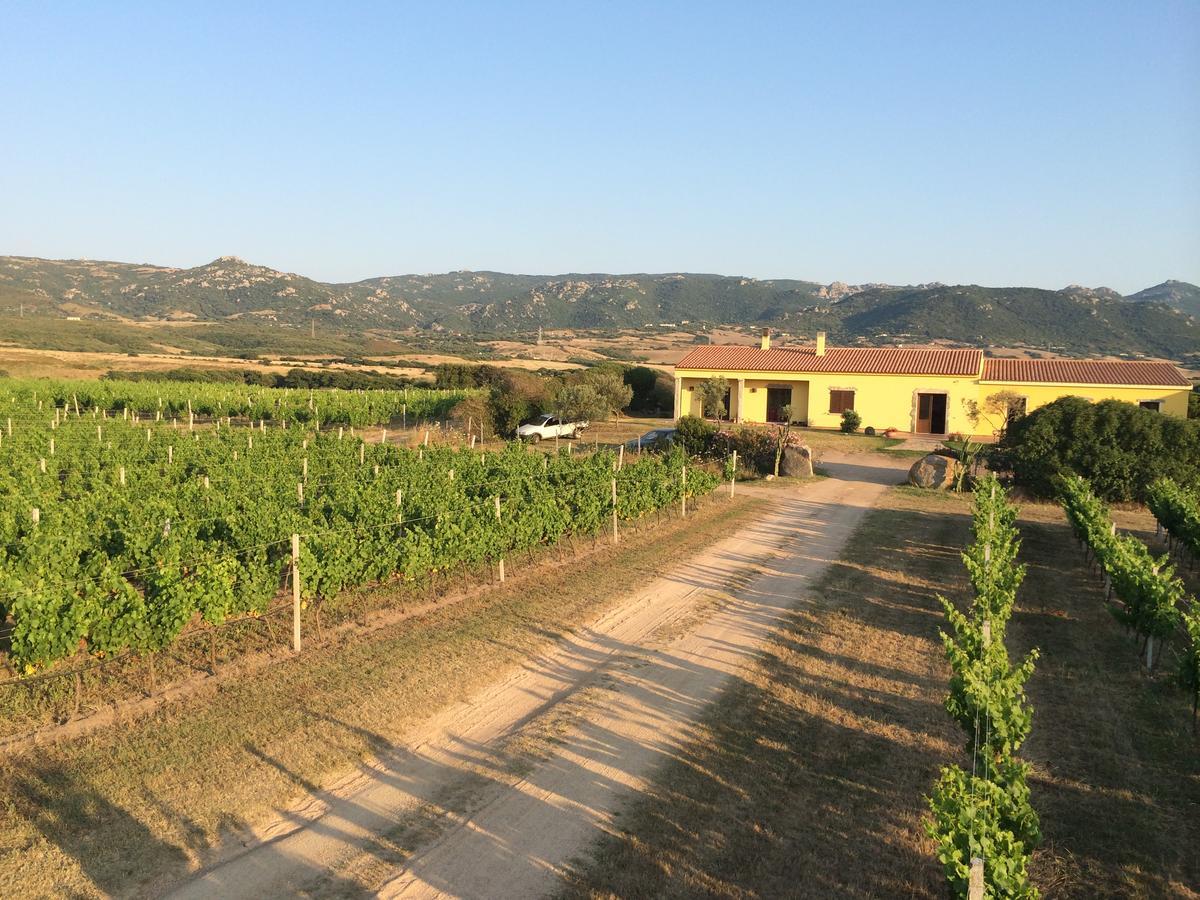 Agriturismo Campesi Casale Tra Le Vigne Aglientu Exterior photo